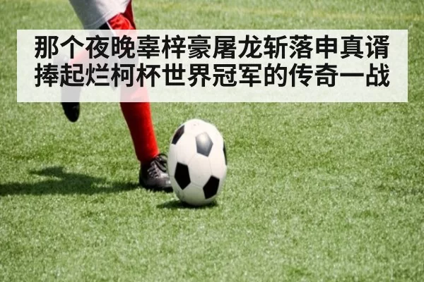那个夜晚辜梓豪屠龙斩落申真谞捧起烂柯杯世界冠军的传奇一战